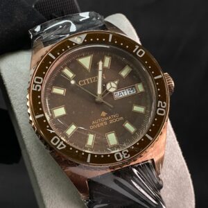 CITIZEN Promaster Marine NY0125-08W Bronze